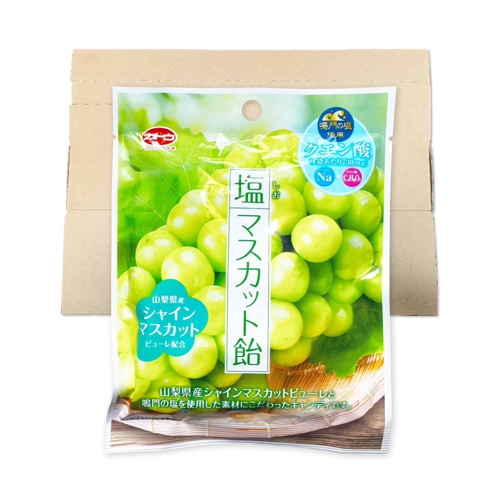 candy シャインマスカット約4.5kg 楽天市場】シャインマスカット ぶどう [世界農業遺産認定] 種